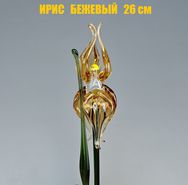 НЗСС ДС Ирис Большой Бежевый 30см