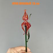 НЗСС ДС Ирис Большой Красный 30см